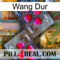Hard Wang 15